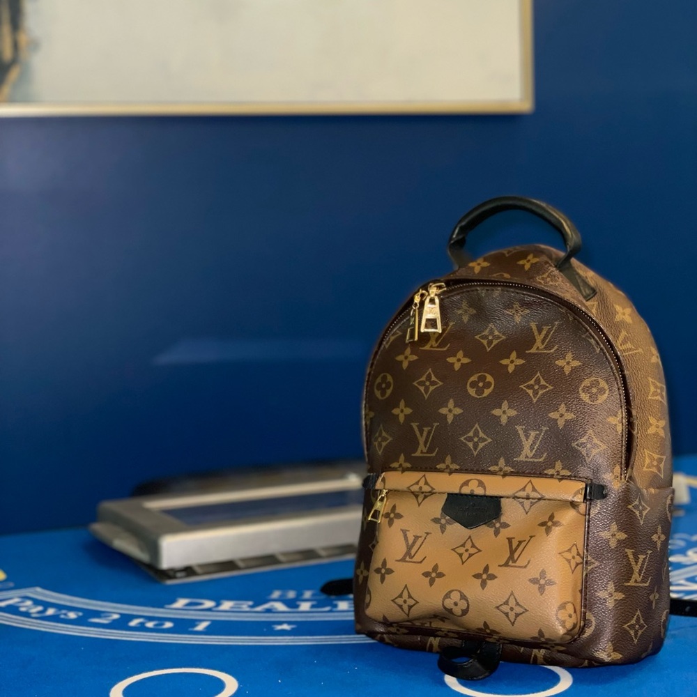 Louis Vuitton Palm Springs PM Backpack - Picture 3 of 4